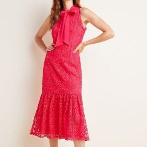 Anthropology Monique Lhuillier Lace  Midi Dress